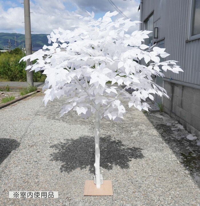 楽天市場】白い木 高さ180cm ホワイト バーチ (ジョイント式 