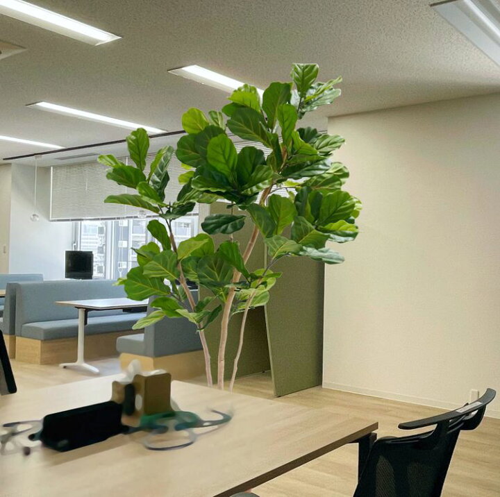 楽天市場】カシワバゴム の木 180cm (フェイク グリーン 造花 フィカス 