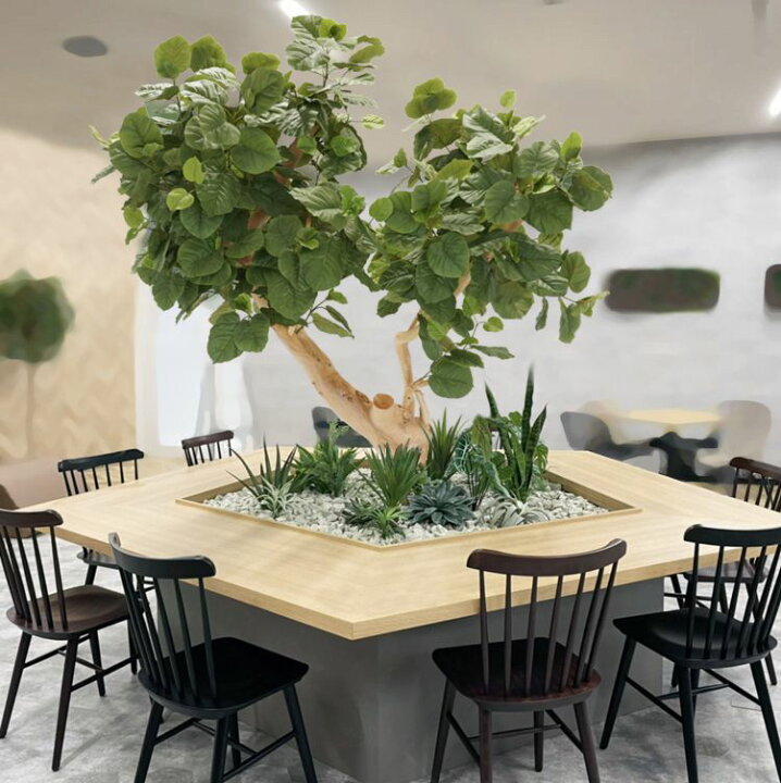楽天市場】大型 ウンベラータの木 高さ220cm (造花 観葉植物 フェイク 