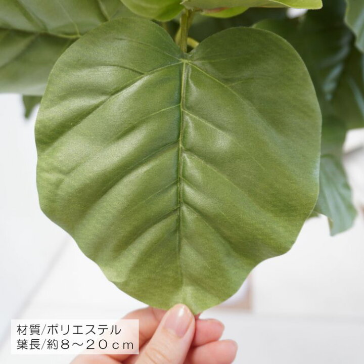楽天市場】大型 ウンベラータの木 高さ220cm (造花 観葉植物 フェイク 