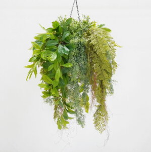 nMO O[ A a50cm ( tFCN ݂艺 ݂邷 CeA   fBXvC V{c[  A Ǝ [J[ xXgO[ IWi  