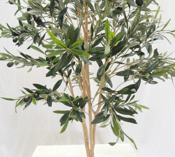 楽天市場 オリーブ株立ち 高さ130cm 造花 人工観葉植物 おしゃれ 室内装飾 インテリア 作り物 フェイク 樹木 北欧風 ナチュラル 1 3m 造花観葉植物専門店ビワールデコ 楽天市場 オリーブ株立ち 高さ130cm 造花 人工観葉植物 おしゃれ 室内装飾 インテリア 作り物 フェイク 樹木 北欧風 ナチュラル 1 3m 造花観葉植物専門店ビワールデコ