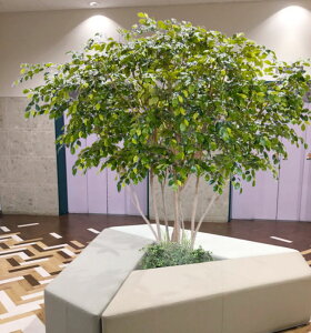 xW~ Au^ 250cm ^TCY (tFCN O[  lHϗtA    CeA   fBXvC 2.5m h[ice[u   A Ǝ [J