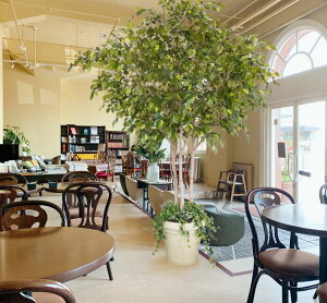 ^i xW~ gݗĎ 250cm ( CeA lHϗtA tFCNO[     X  V{c[ ItBX  Ǝ [J[ k  xX