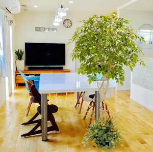 xW~ S[hbV 180cm A͕t ( CeA i^[V   lH ϗtA  fBXvC 蕨 tFCN O[ vc  A Ǝ [J