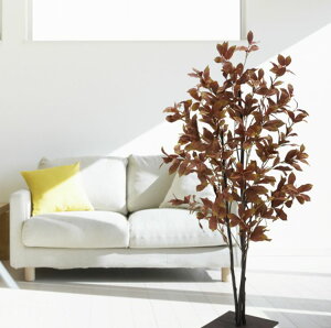 Ckr[tc[ uE 120cm (r т H ~ N C^r   lHϗtA tFCN 1.2m CeA   ItBX V{c[  A Ǝ [J[ xX