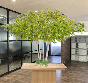 xW~ S[hbV 200cm Au^ g (tFCN O[  ^ CeA i^[V    lH ϗtA  fBXvC 蕨 vc 2m V