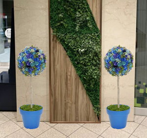 t[ gsA[ 120cm u[ (tFCNO[  lH ϗtA IuWF CeA ~`    u fBXvC V{c[  A Ǝ [J[ xXgO