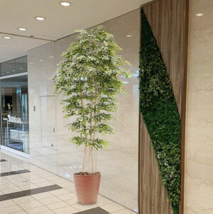 V}glR̖ 230cm 3{ (tFCN O[ ^  CeA   lH ϗtA fBXvC 蕨  tFCNvc A ItBX V{c[  A