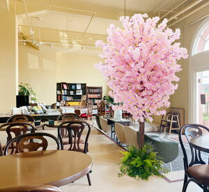 ̖ 230cm d (쑐o[W tFCNO[  TN  sN lHϗtA CeA   ^ t  蕨  ItBX V{c[  A 