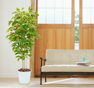 さくらんぼの木 180cm (チェリー フェイク グリーン 造花 樹木 人工観葉植物 1.8m おしゃれ 室内 装飾 大型 作り物 インテリア シンボルツリー 自作 植栽 業者 メーカー ベストグリーン オリジナ