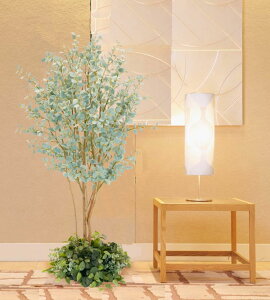 [J t 160cm ( CeA k i`   lH ϗtA ^   蕨 tFCN O[ 1.6m  V{c[  A Ǝ [J[ xX