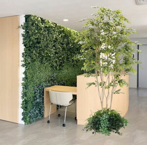 ^TCY k }EeAbV A͕t 250cm (tFCN O[ ^  傫  CeA lH ϗtA A t  fBXvC  IuWF 2.5m ItBX