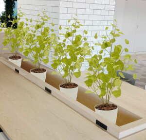 ポプラの木 苗木風 高さ80cm (フェイク グリーン インテリア 室内 鉢植え お洒落 シンプル 造花 樹木 人工観葉植物 オフィス シンボルツリー 自作 植栽 業者 メーカー ベストグリーン オリジナ