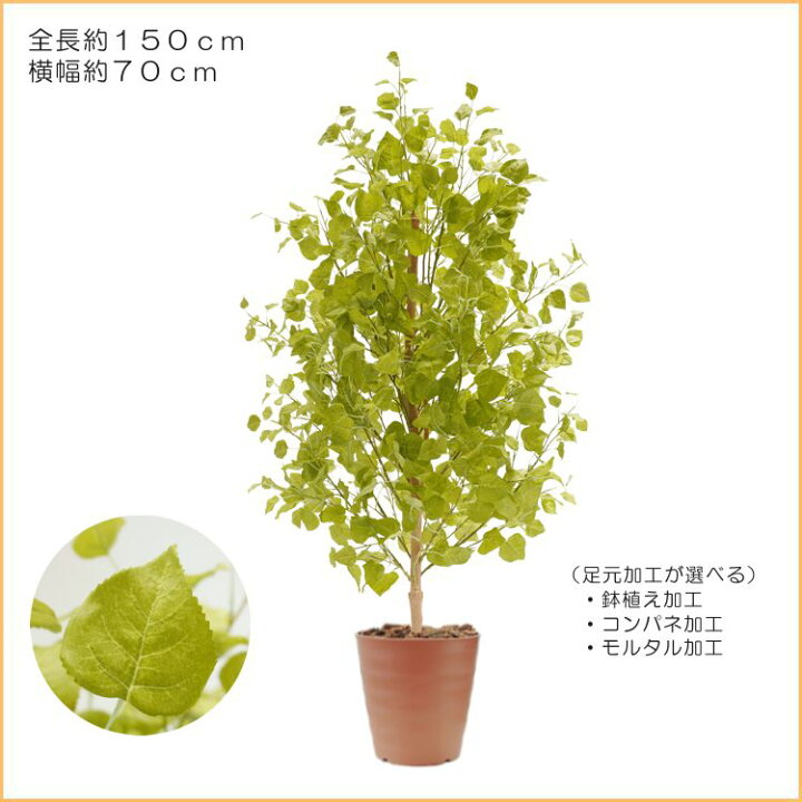 楽天市場】ポプラの木 高さ150cm (フェイクグリーン インテリア 室内