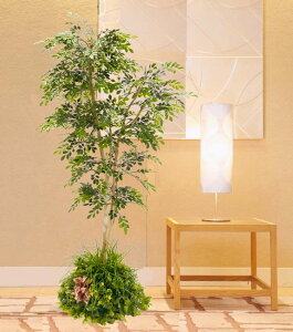 V}glR̖ 2{ t 180cm (tFCNO[  CeA i` R   lH ϗtA ^  fBXvC 蕨 1.8m ItBX V{c[  