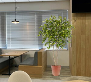 幅が広い ベンジャミンの木 200cm (フェイクグリーン 大型 造花 観葉植物 インテリア おしゃれ 室内 装飾 人工 樹木 ディスプレイ 作り物 2m 鉢植え 自作 業者 メーカー オフィス 製造元)