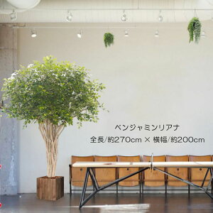 ^ xW~ Ai ʌ^ 270cm (g{HpKv) (tFCNO[  ϗtA  CeA   V{c[ 2.7m lH  A Ǝ [J[ xXg