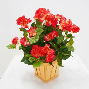 xSjA bh A 40cm (tFCNO[   CeA lHϗtA  킢  ~j Ή tFCNvc  A Ǝ [J[ xXgO[ IW