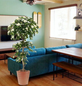 u[QrA  180cm (tFCNO[   썑 lH ϗtA  zCg CeA    ^ ItBX X ItBX V{c[  A Ǝ [J[ x