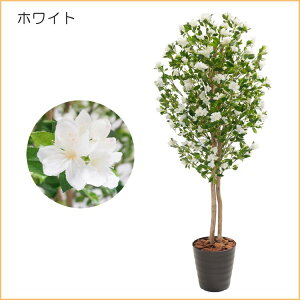 񂲂̖ ԕt 180cm (S Abv ь tFCNO[ lHϗtA   sN zCg 1.8m CeA    ^ 蕨 ItBX V{c[ 