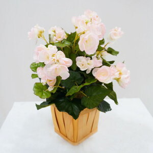 xSjA sN A 40cm (tFCNO[   CeA lHϗtA  킢  ~j Ή tFCNvc  A Ǝ [J[ xXgO[ IW