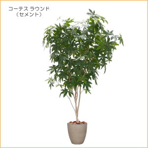 pL 280cm (tFCNO[   J|bN cs^TX CeA ^    lH ϗtA 蕨  fBXvC X 2.8m ItBX V{c[  A 