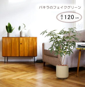 pL 120cm (tFCNO[ ϗtA A pL J|bN VFt  j JX CeA   lH  fBXvC  X  A ItBX  A 