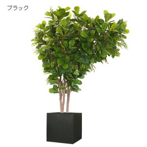 n؁@JVoSglR ̖ 280cm (tFCNO[ ^   CeA   lH ϗtA 蕨  fBXvC X 2.8m ItBX V{c[  