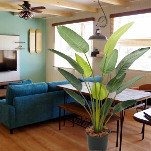 I[KX^ 180cm (tFCN O[ ^ Xg`A lHϗtA  lH A 1.8m    fBXvC  V{c[  A Ǝ [J[ xXgO[