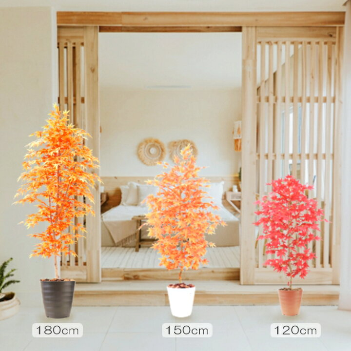 楽天市場】モミジツリー (120cm、150cm、180cm) (紅葉 人気 造花樹木 