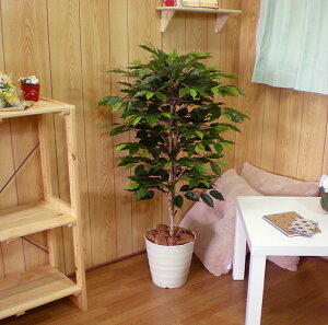 xW~c[ 100cm (tFCNO[  CeA   lH ϗtA  fBXvC X  1m  ^ ItBX V{c[  A Ǝ [J[ 