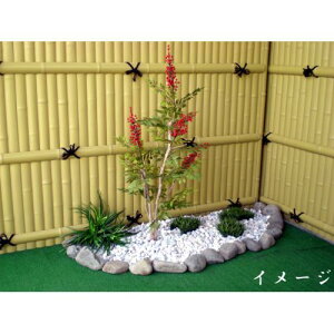 V 100cm ( ^ lHϗtA ie  a K[fjO  뉀 ؒ CeA  j {^jJ   tFCN O[ 蕨  fBXvC I