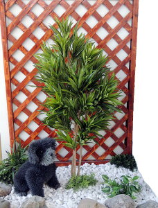 \OIuW}CJ̖ 100cm ( lHϗtA K[fjO  뉀 ؒ GNXeA CeA  蕨 V{c[  A Ǝ [J[ xXgO[ I