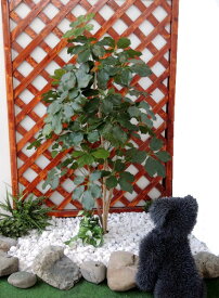 楽天市場 庭 インテリアの通販