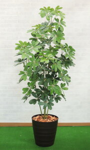 J|bNc[ 180cm ( CeA   lH ϗtA tFCN O[ 蕨  fBXvC X 1.8m X ItBX V{c[  A Ǝ [J[ xXgO