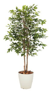 tBJXj`C_ 180cm ( ϗtA CeA    tFCN ^ O[ fBXvC 蕨   xW~ 1.8m  A Ǝ [J[ xXgO[