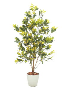 Ng 145cm (  lH ϗtA 1.45mCeA   O[ fBXvC ItBX V{c[  A Ǝ [J[ xXgO[ IWi )