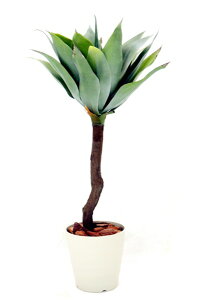 AKxvg 90cm (tFCNO[   lHϗtA  CeA    LVJ eLTX A 蕨 V{c[  A Ǝ [J[ x