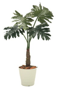 Z[vg 80cm (tBfh  CeA O[ ϗtA   A V{c[  A Ǝ [J[ xXgO[ IWi )