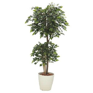 xW~gsA[ 180cm ( ϗtA lH CeA    fBXvC ^ 蕨  1.8m  A Ǝ [J[ xXgO[ IWi)