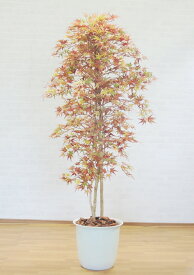 深い秋色の紅葉 180cm (人工 観葉植物 造花 もみじ モミジ おしゃれ 室内 大型 秋 装飾 樹木 フェイクグリーン カエデ オフィス シンボルツリー 自作 植栽 業者 メーカー ベストグリーン オリジナル 製造元 鉢植え 虫がつかない)