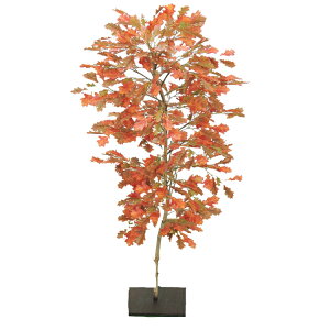 NkMc[@(Ri gt Ԏ lHϗtA 1.2m  tFCNO[ CeA ItBX V{c[  A Ǝ [J[ xXgO[ IWi )