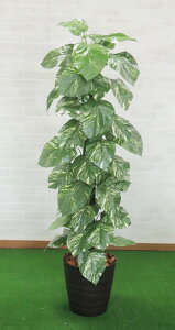 WCAg|gX|[ 150cm ( CeA   lH ϗtA  fBXvC X 蕨 tFCN O[ vc V{c[  A Ǝ [J[ xXg