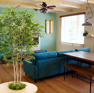 V}glR Lo[W 200cm (tFCN O[ ^  CeA   lH ϗtA ItBX A  fBXvC 蕨 2m  A Ǝ [J[ xXg