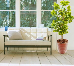 AeV} 180cm (tFCN O[ ^  AeV[} tBJX S CeA lH ϗtA A  Vv  fBXvC ItBX  V{c[  A 