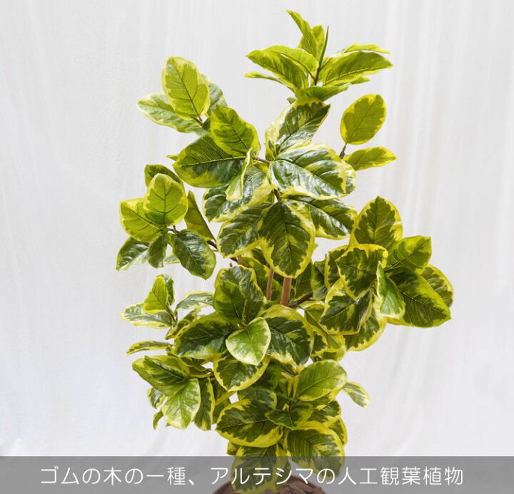 楽天市場】アルテシマ 180cm (フェイク グリーン 大型 造花 