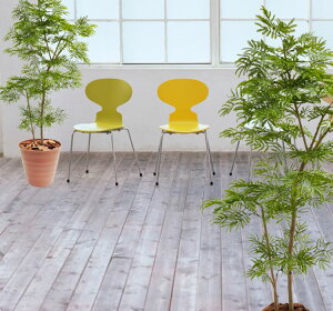 Go[tbV 180cm (lmL   lHϗtA 1.8m z CeA   ^   蕨 tFCN O[ ItBX V{c[  A Ǝ [J[ x