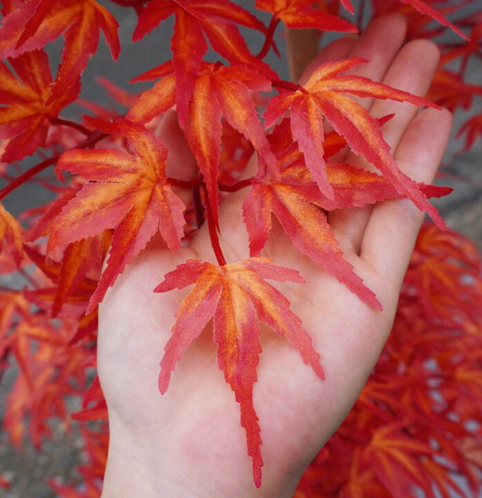 小さい葉っぱの木 1cm 鉢植え 造花 ミニフィカス ベンジャミン インテリア おしゃれ 室内 人工 観葉植物 フェイク グリーン 屋外使用可能 1 2m 在庫一掃売り切りセール