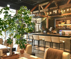 R` VFt 180cm ( CeA ^   lH ϗtA tFCN O[ 蕨  fBXvC X 1.8m ItBX V{c[  A Ǝ [J[ xX